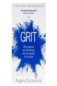 Grit-Why Passion And Resilience Are The Secrets To Success